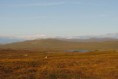 /album/galerie-photos/ecosse-1025-jpg/